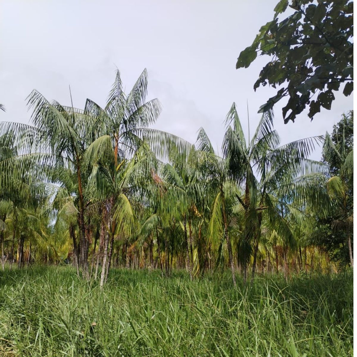 LA CNI IMPULSA LA AMAZONÍA: INVERSIÓN E INDUSTRIA PARA CONQUISTAR NUEVOS MERCADOS